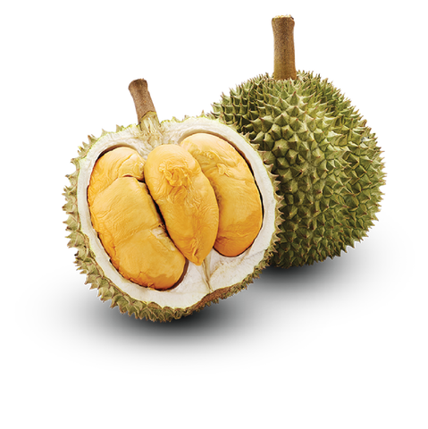 Sầu riêng Blackthorn (Hữu cơ - VIETGAP)